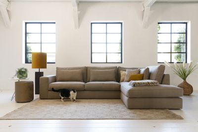 Indian Pashmina
Skala Shitake