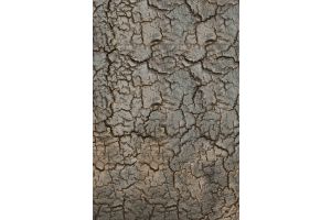 ETHNICRAFT PENTAGON CONSOLE - LAVA - WHISKY