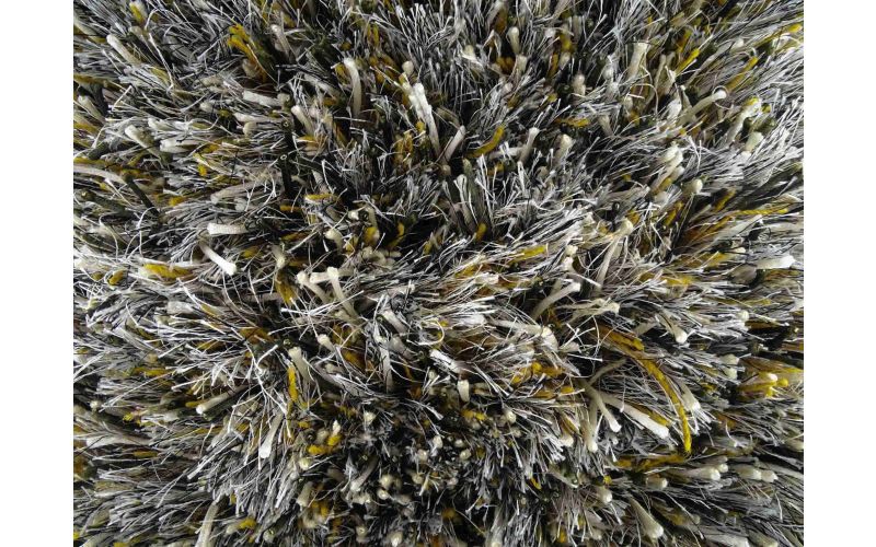 GRAND VLOERKLEED KLEUR SPRING