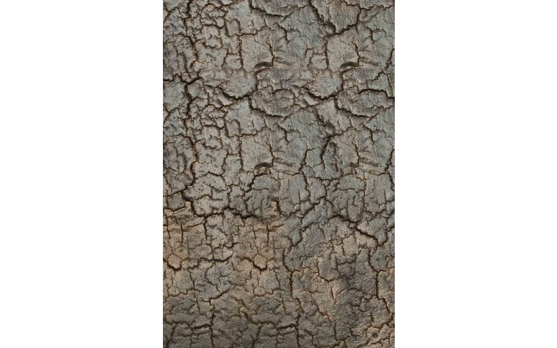 ETHNICRAFT PENTAGON CONSOLE - LAVA - WHISKY